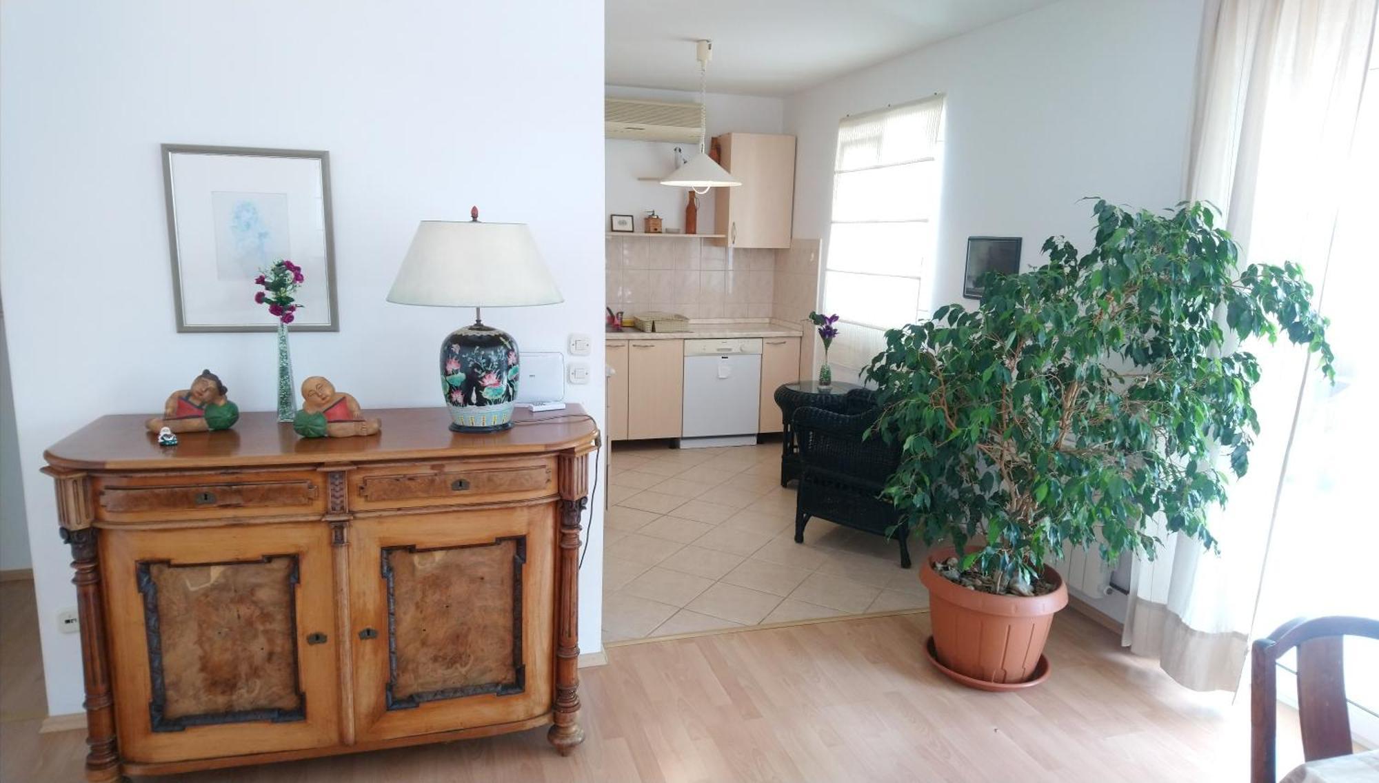 Apartmani Andrija Живогоще Екстер'єр фото